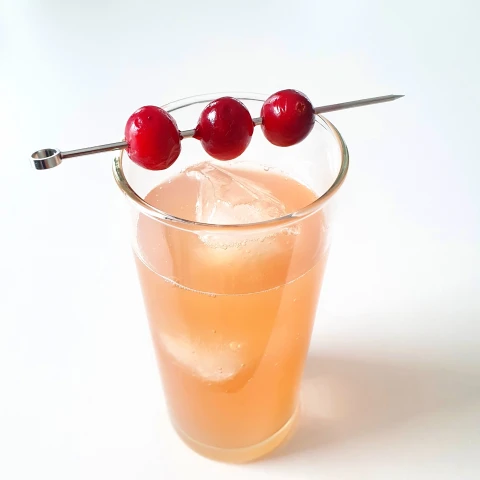 Cranberry Mule