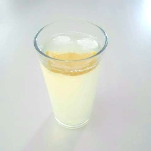 Gin Fizz