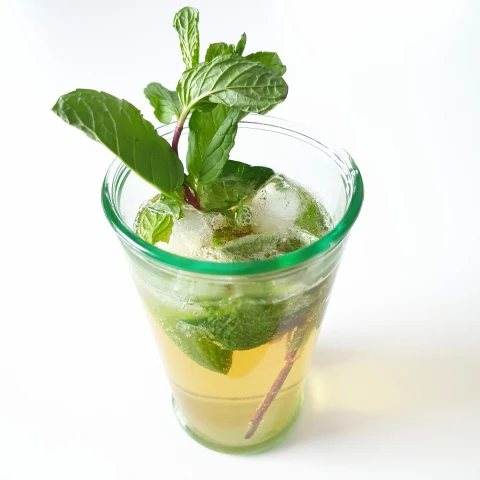 Whiskey Mojito